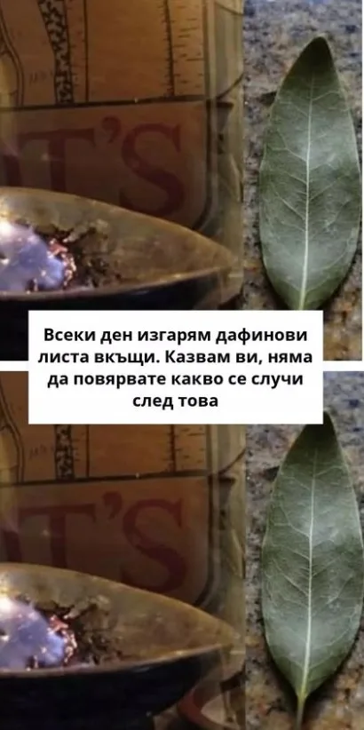 26660f70ae6e43610d67f0a7fee3c88b.jpg