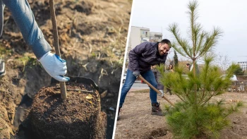 Има ли решение проблемът с мръсния въздух?