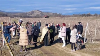 Подбалкана посреща Трифон Зарезан с най-доброто домашно вино в село Васил Левски