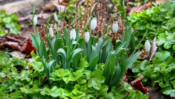 Времето се обръща: Изненада връхлита Западна България! От четвъртък: Градусите рязко скачат, стигат до...