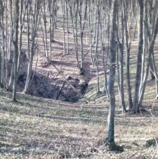ОПАСЕН ХИЩНИК ИЗБЯГА ОТ ЗООЛОГИЧЕСКА ГРАДИНАІ Видео с избягалия опасен хищник в Шуменското плато