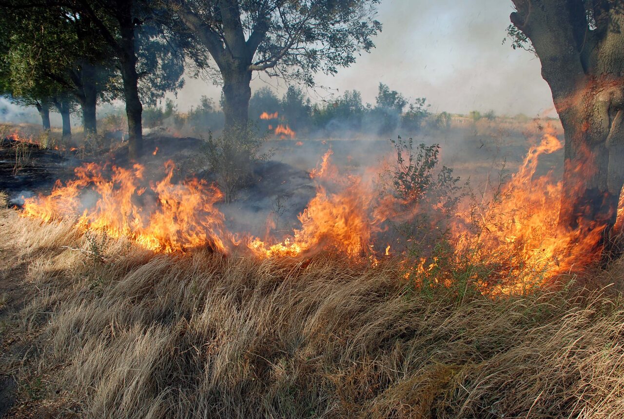 Обявиха Бедствено положение във..