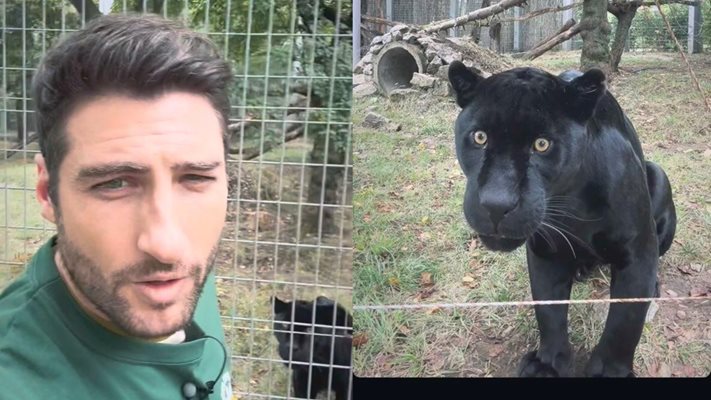 Петър Дочев откри черната пантера