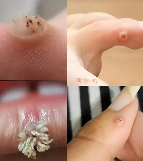 БЪДЕТЕ МНОГО ВНИМАТЕЛНИ. Получиш ли това, значи си.... Вижте повече