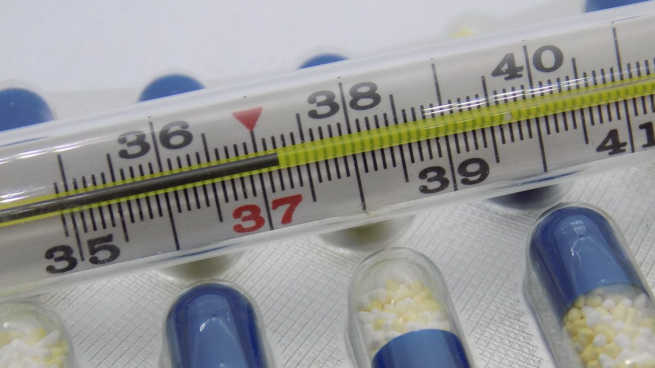 Смъртоносният грип вече затвори училища: Ето какви са симптомите на заболяването…