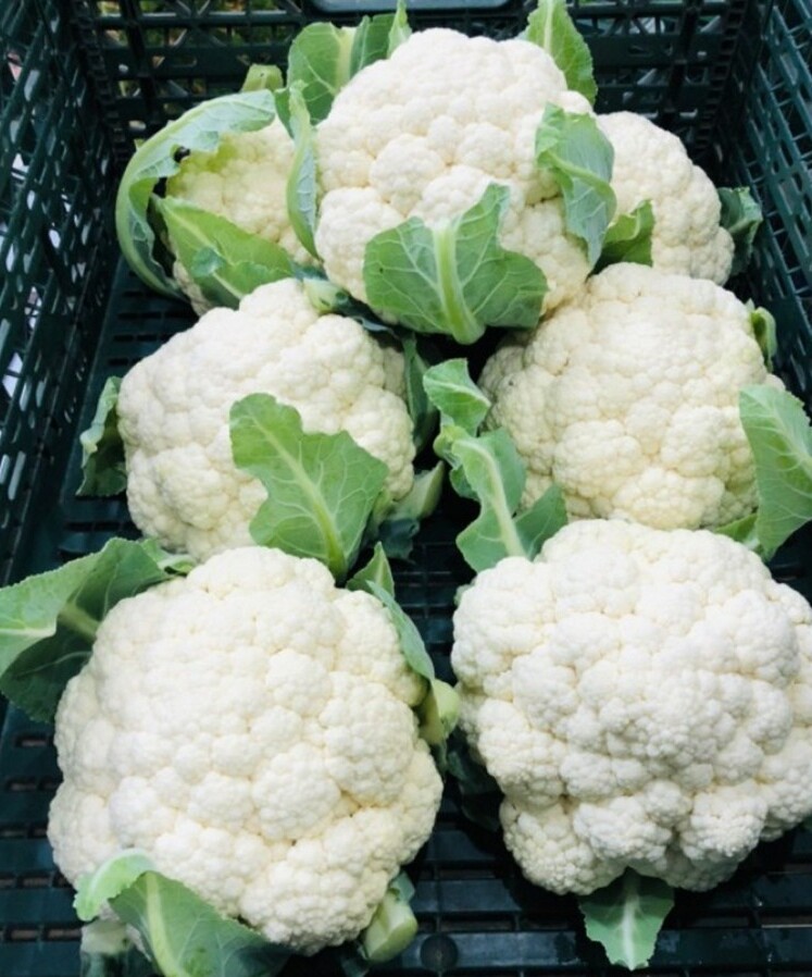 Лекарите откриха, че зеления карфиол предизвиква…