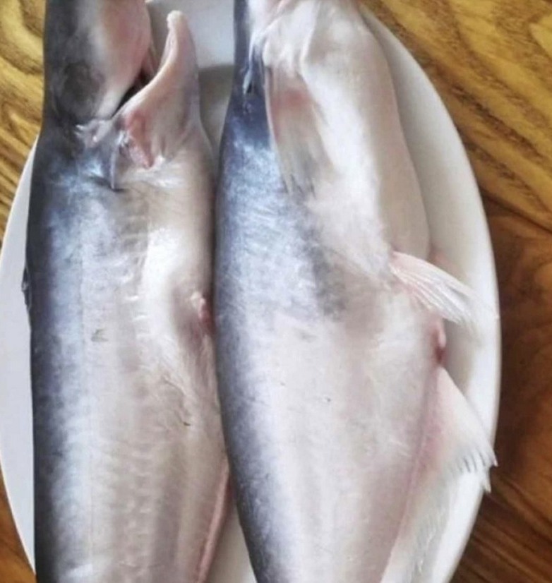 Назована е рибата, която в никакъв случай не бива да се яде, въпреки че се продава във всички супермаркети, особено по време на пости