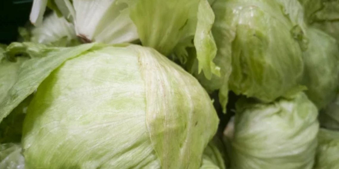 Забравете мекото зеле! Трите тайни на баба, за да не се развали…