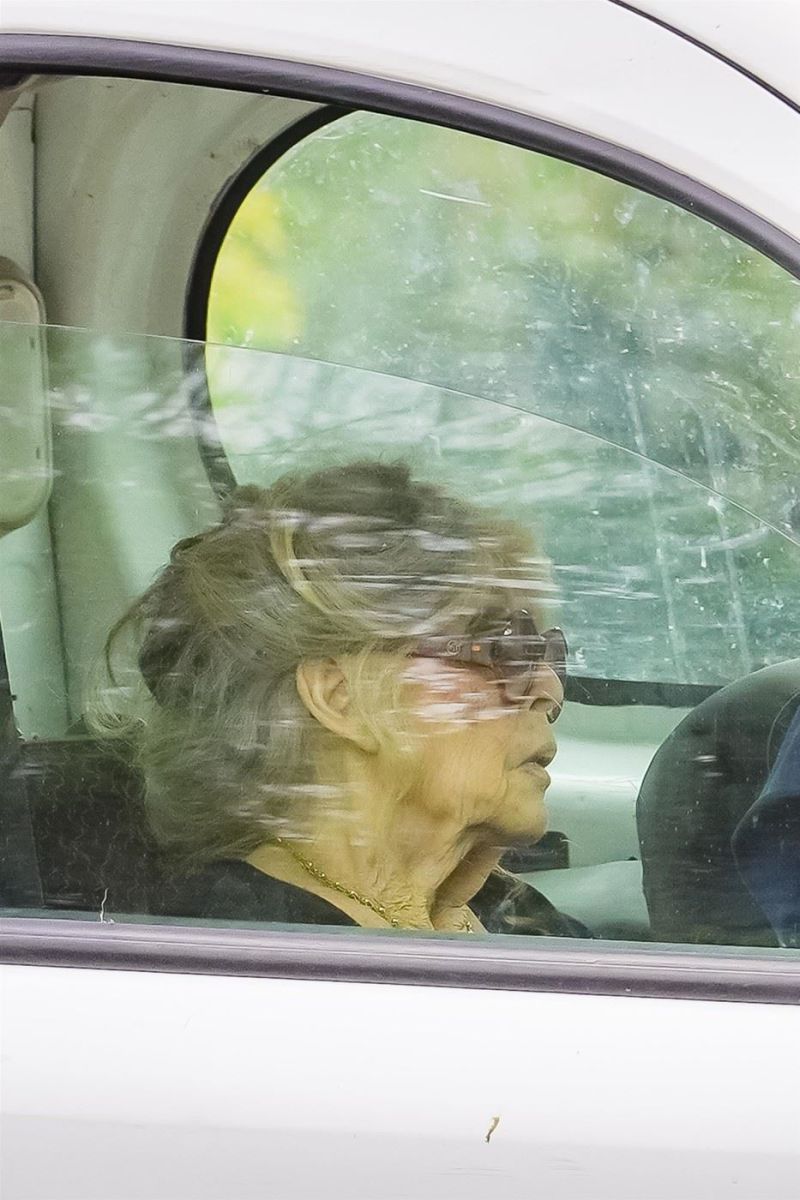 Бриджит Бардо последни снимки