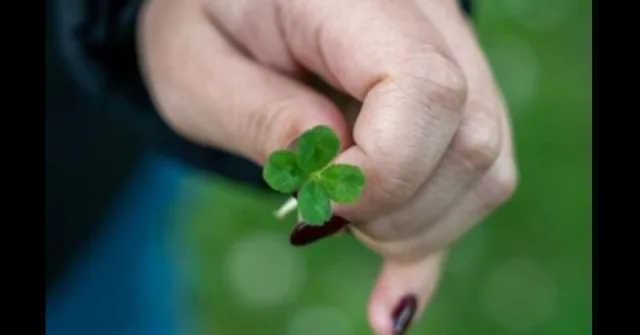 2026 ще бъде ЗЛАТНА ГОДИНА за тях: 4 зодии ги очакват богатство и голям успех