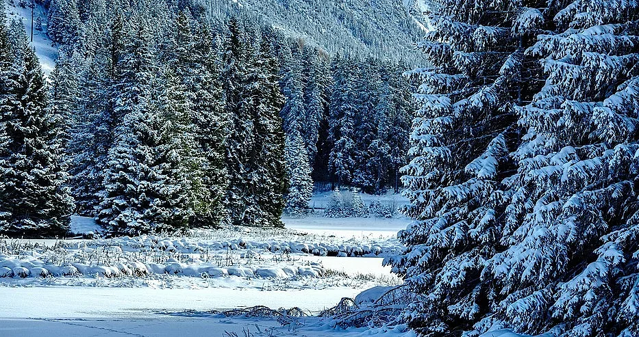 Неописуем ужас ни връхлита на 4 януари, всички са предупредени!