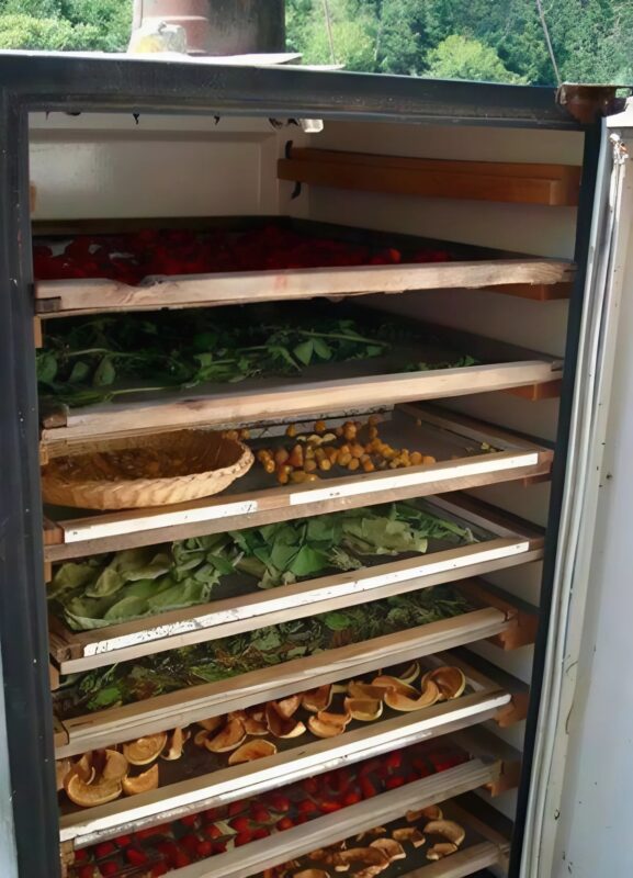 Ако вкъщи имате стар хладилник, който вече си е изживял времето и сте се канили да се отървете от него, не бързайте да го хвърляте или продавате. 5