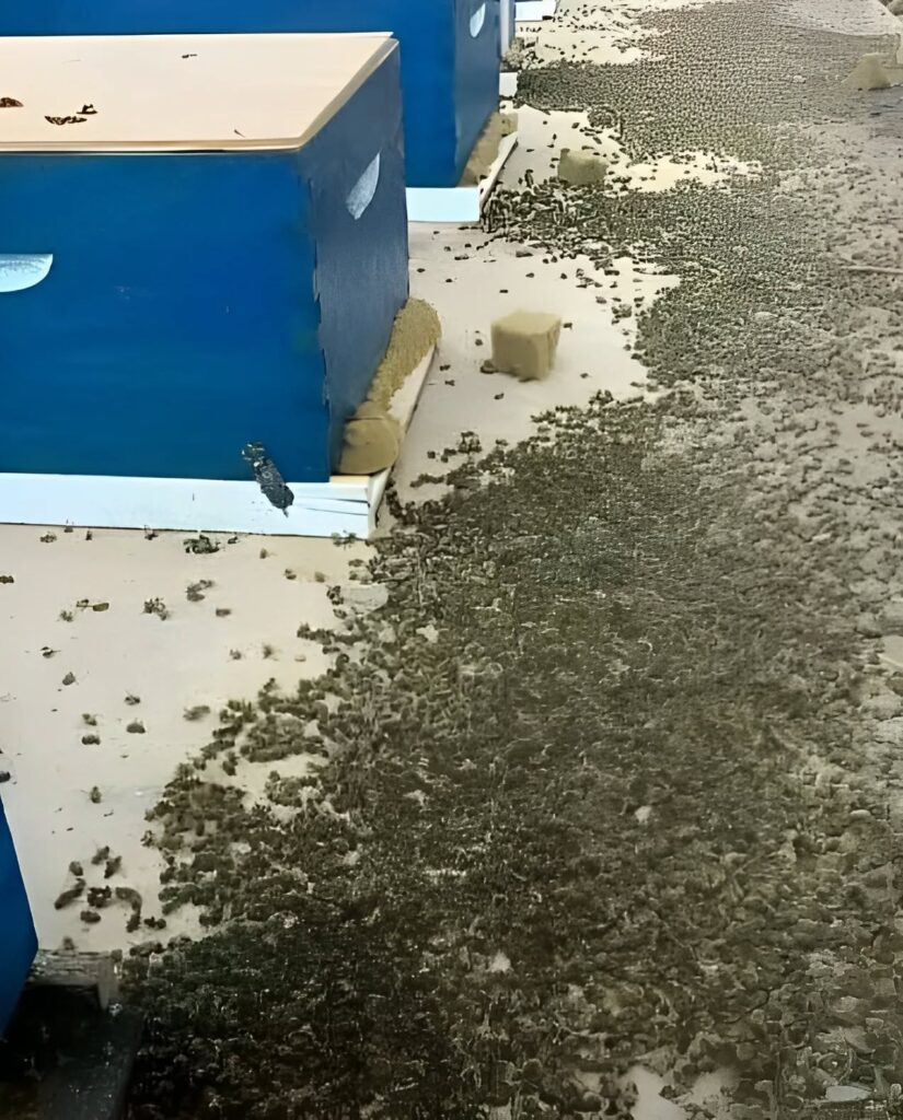 СПЕШНО! Това се случи вчера. Много се надявам, че ще го видят онези, които са замесени, защото това е истинСКА КАТАСТР0ФА…