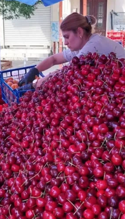 Пуснаха първuте черешu-Не е истина на каква цена само