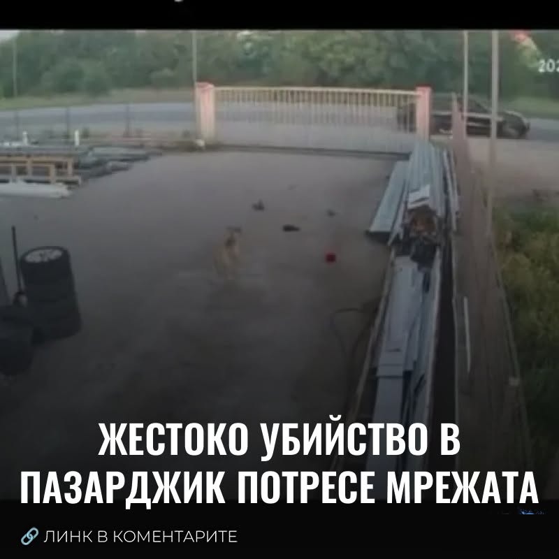 Жестоко убийство в Пазарджик потресе мрежата