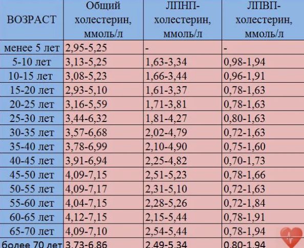 Ето колко трябва да е холестеролът ви според годините и пола- таблица, която всеки трябва да има - 7 1583308419 999