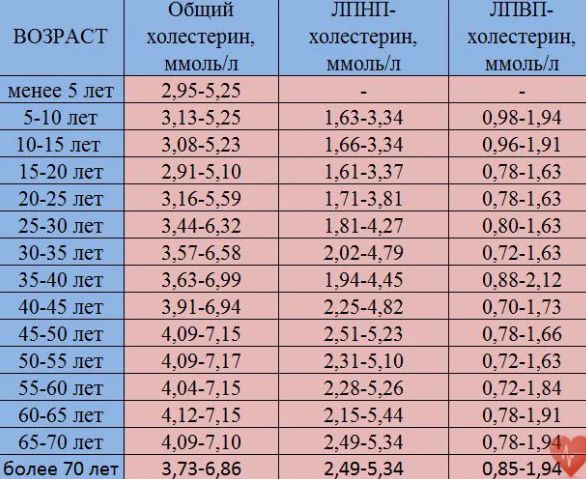 Ето колко трябва да е холестеролът ви според годините и пола- таблица, която всеки трябва да има - 6 1583308419 ta12(1)